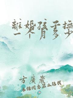 离婚孩子抚养权一个月多少钱