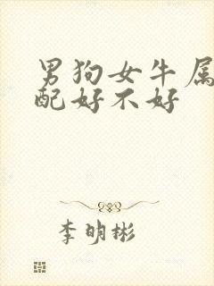 男狗女牛属相婚配好不好
