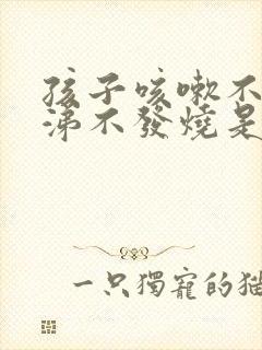 孩子咳嗽不流鼻涕不发烧是怎么回事