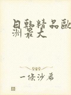 日韩精品欧美亚洲最大
