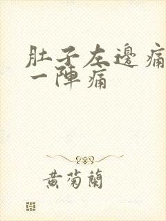 肚子左边痛一阵一阵痛