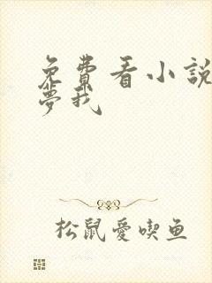 免费看小说白日梦我