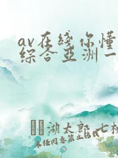 av在线你懂的综合亚洲一区