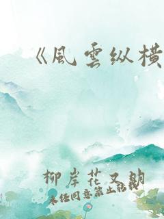《风云纵横》