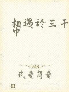 相遇于三千肉文中