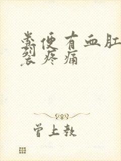 粪便有血肛门撕裂疼痛