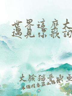 世界这么大还是遇见你歌词完整版