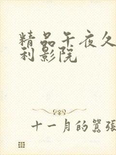 精品午夜久久福利影院