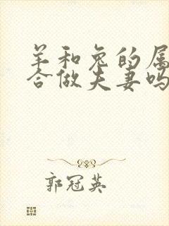 羊和兔的属相适合做夫妻吗