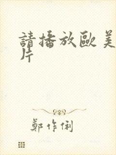 请播放欧美一级片