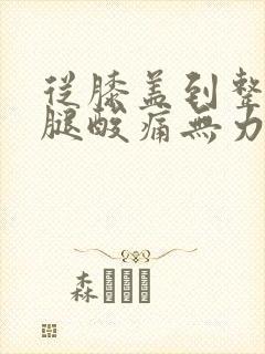 从膝盖到整个小腿酸痛无力