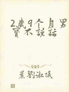 2岁9个月男宝宝不说话