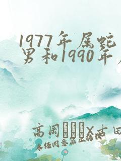 1977年属蛇男和1990年属马女合不合