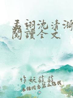 孟翊沈清漪免费阅读全文