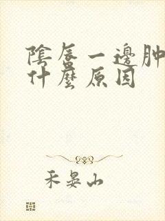 阴唇一边肿了是什么原因