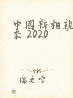 中国新相亲第三季 2020
