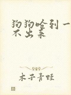 狗狗呛到一直咳不出来