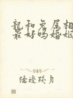 龙和兔属相相配最好吗婚姻