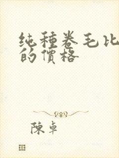 纯种卷毛比熊犬的价格