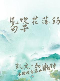风吹花落的唯美句子