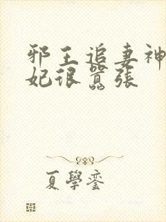 邪王追妻神医狂妃很嚣张