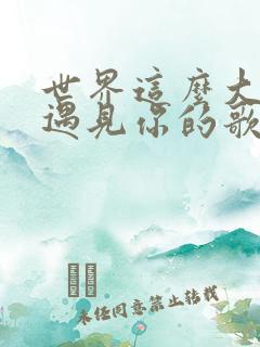 世界这么大还是遇见你的歌词