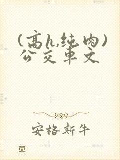 (高h,纯肉)公交车文