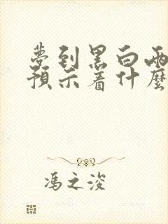 梦到黑白两条蛇预示着什么