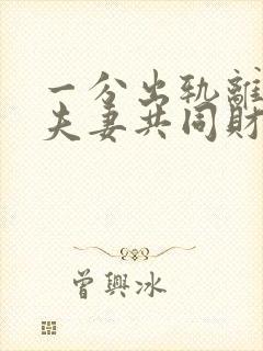 一分出轨离婚有夫妻共同财产分割吗