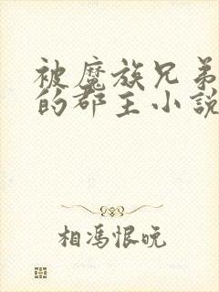 被魔族兄弟囚禁的郡主小说免费阅读全文