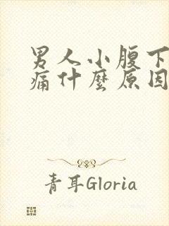 男人小腹下面胀痛什么原因