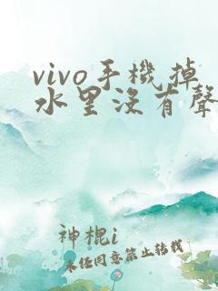 vivo手机掉水里没有声音了怎么办