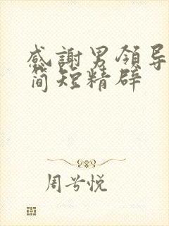 感谢男领导的话简短精辟