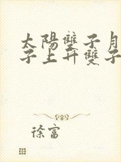 太阳双子月亮双子上升双子的区别