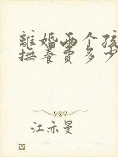 离婚两个孩子的抚养费多少钱一个月