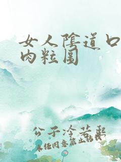 女人阴道口长小肉粒图