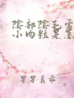 阴部阴毛处长了小肉粒是怎么回事