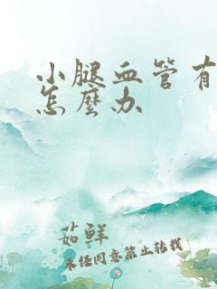 小腿血管有斑块怎么办