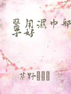 医用湿巾哪个牌子好