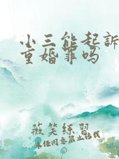 小三能起诉男方重婚罪吗