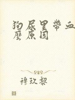 狗尿里带血是什么原因