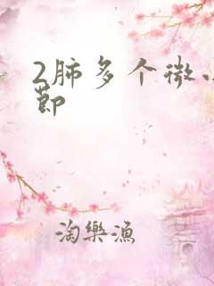 2肺多个微小结节