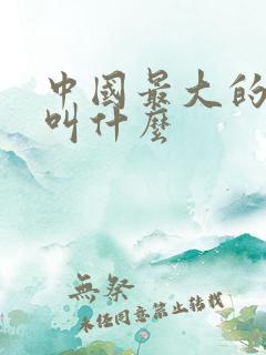 中国最大的叛徒叫什么