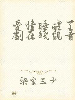 爱情睡醒了电视剧在线观看免费