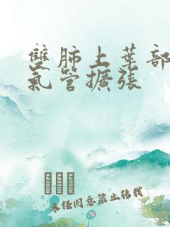 双肺上叶部分支气管扩张