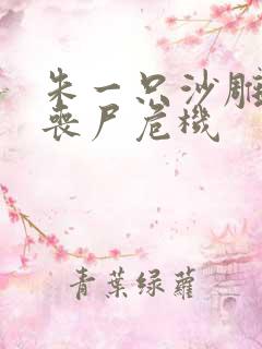 朱一只沙雕动画丧尸危机