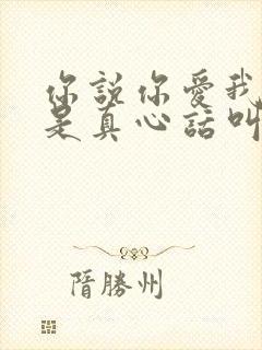 你说你爱我是不是真心话叫啥歌名