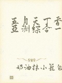 五月天丁香婷婷亚洲综合一区