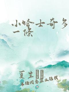 小哈士奇多少钱一条