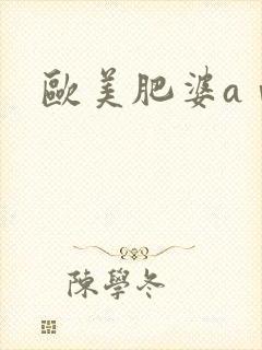 欧美肥婆aⅴ
